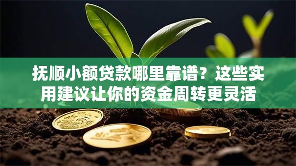 抚顺小额贷款哪里靠谱？这些实用建议让你的资金周转更灵活