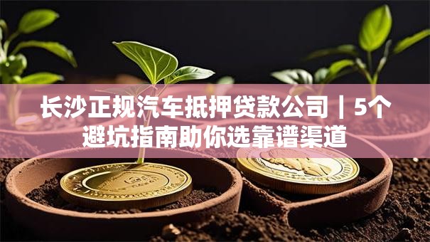 长沙正规汽车抵押贷款公司｜5个避坑指南助你选靠谱渠道