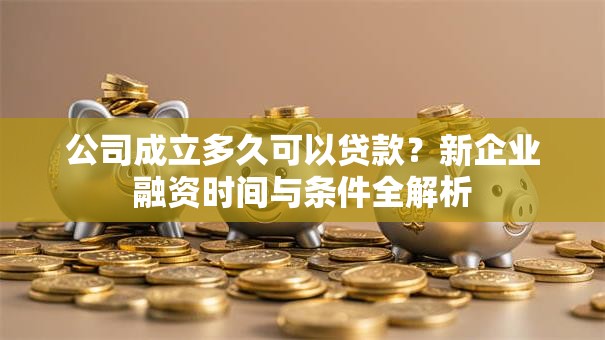 公司成立多久可以贷款？新企业融资时间与条件全解析