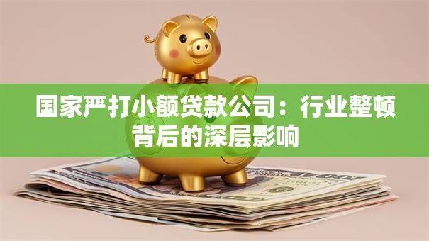 国家严打小额贷款公司:行业整顿背后的深层影响 国家严打小额贷款公司:行业整顿背后的深层影响