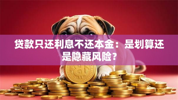 贷款只还利息不还本金：是划算还是隐藏风险？