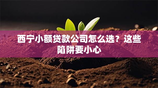 西宁小额贷款公司怎么选?这些陷阱要小心 西宁小额贷款公司怎么选?这些陷阱要小心