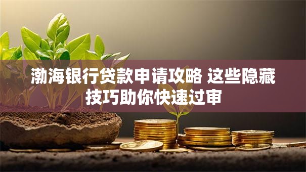 渤海银行贷款申请攻略 这些隐藏技巧助你快速过审