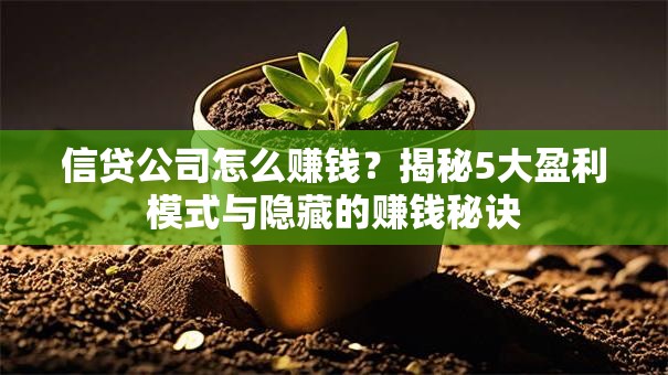 信贷公司怎么赚钱？揭秘5大盈利模式与隐藏的赚钱秘诀