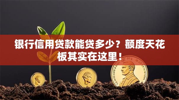 银行信用贷款能贷多少？额度天花板其实在这里！