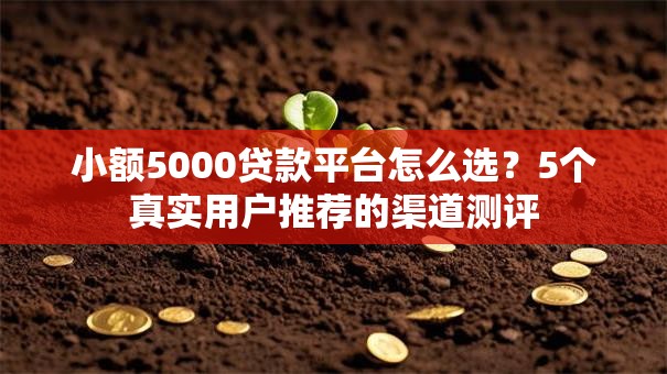小额5000贷款平台怎么选?5个真实用户推荐的渠道测评 小额5000贷款平台怎么选?5个真实用户推荐的渠道测评