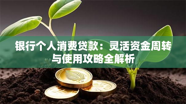 银行个人消费贷款:灵活资金周转与使用攻略全解析 银行个人消费贷款:灵活资金周转与使用攻略全解析