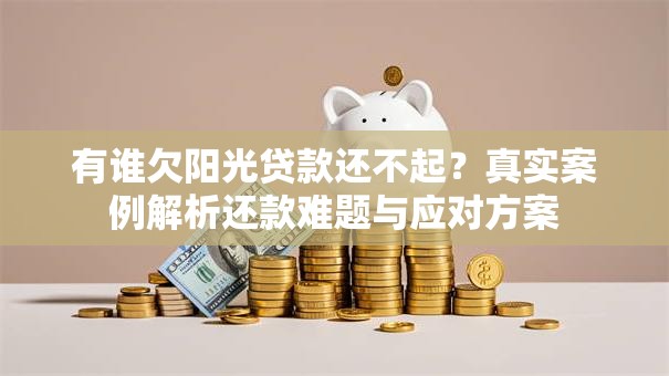 有谁欠阳光贷款还不起?真实案例解析还款难题与应对方案 有谁欠阳光贷款还不起?真实案例解析还款难题与应对方案