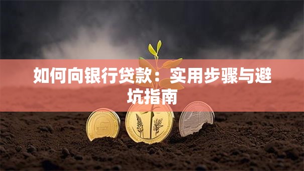 如何向银行贷款：实用步骤与避坑指南