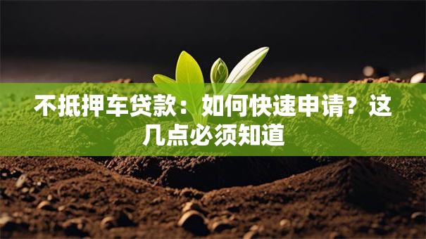 不抵押车贷款:如何快速申请?这几点必须知道 不抵押车贷款:如何快速申请?这几点必须知道