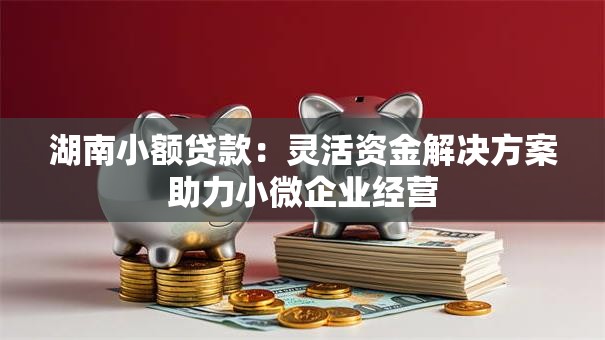 湖南小额贷款：灵活资金解决方案助力小微企业经营
