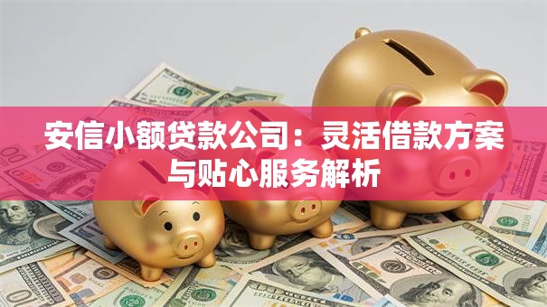 安信小额贷款公司:灵活借款方案与贴心服务解析 安信小额贷款公司:灵活借款方案与贴心服务解析