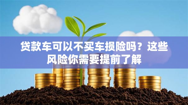 贷款车可以不买车损险吗？这些风险你需要提前了解