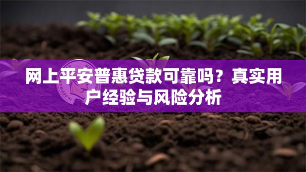 网上平安普惠贷款可靠吗？真实用户经验与风险分析