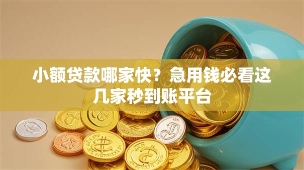 小额贷款哪家快？急用钱必看这几家秒到账平台