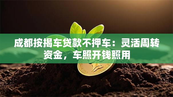 成都按揭车贷款不押车：灵活周转资金，车照开钱照用