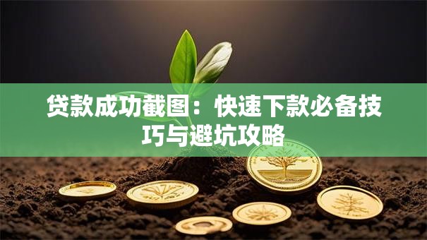 贷款成功截图：快速下款必备技巧与避坑攻略