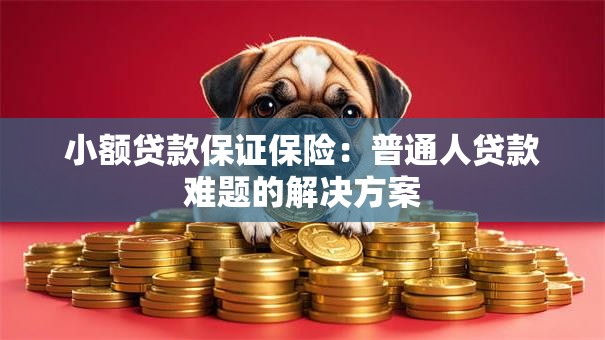小额贷款保证保险：普通人贷款难题的解决方案