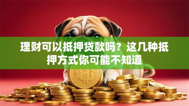 理财可以抵押贷款吗？这几种抵押方式你可能不知道