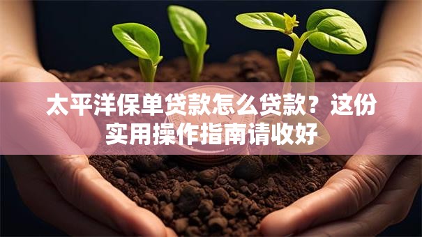 太平洋保单贷款怎么贷款？这份实用操作指南请收好