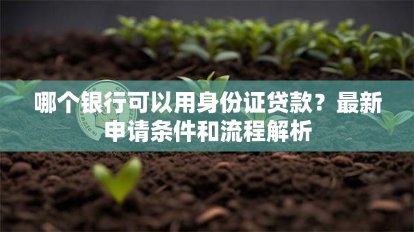 哪个银行可以用身份证贷款？最新申请条件和流程解析