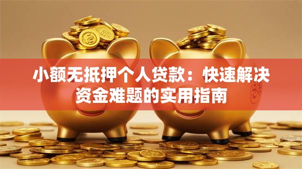 小额无抵押个人贷款：快速解决资金难题的实用指南