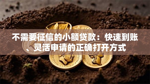 不需要征信的小额贷款：快速到账、灵活申请的正确打开方式