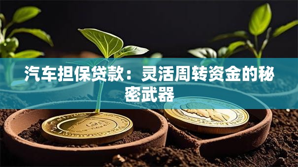 汽车担保贷款：灵活周转资金的秘密武器