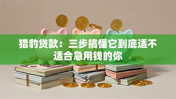 猎豹贷款：三步搞懂它到底适不适合急用钱的你
