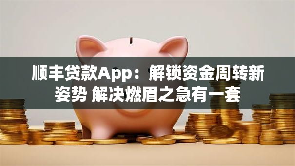 顺丰贷款App：解锁资金周转新姿势 解决燃眉之急有一套