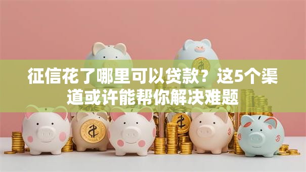 征信花了哪里可以贷款？这5个渠道或许能帮你解决难题