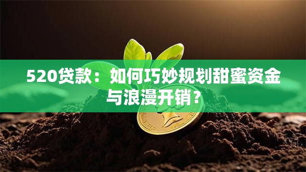 520贷款：如何巧妙规划甜蜜资金与浪漫开销？