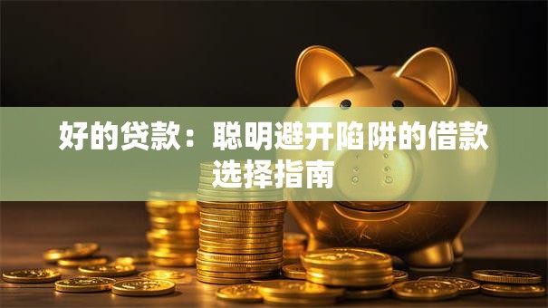 好的贷款：聪明避开陷阱的借款选择指南