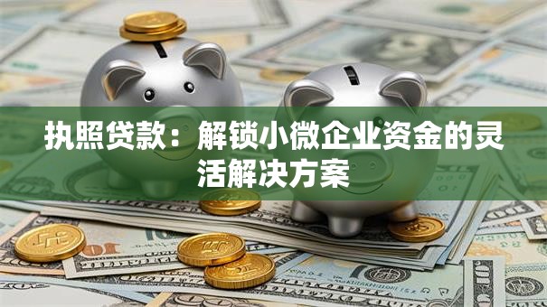 执照贷款：解锁小微企业资金的灵活解决方案