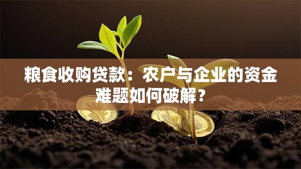 粮食收购贷款：农户与企业的资金难题如何破解？