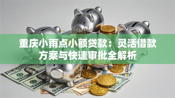 重庆小雨点小额贷款：灵活借款方案与快速审批全解析