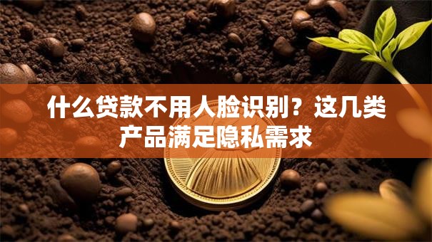 什么贷款不用人脸识别？这几类产品满足隐私需求