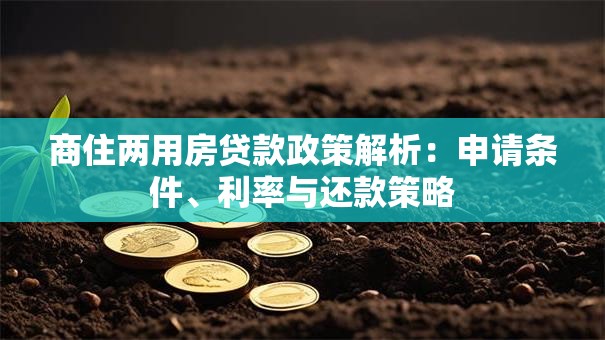 商住两用房贷款政策解析：申请条件、利率与还款策略
