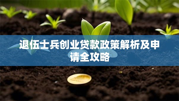 退伍士兵创业贷款政策解析及申请全攻略 退伍士兵创业贷款政策解析及申请全攻略