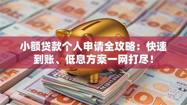 小额贷款个人申请全攻略：快速到账、低息方案一网打尽！