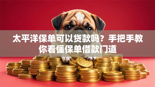太平洋保单可以贷款吗？手把手教你看懂保单借款门道
