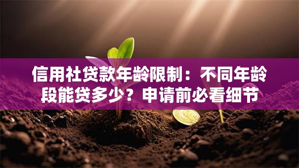 信用社贷款年龄限制:不同年龄段能贷多少?申请前必看细节 信用社贷款年龄限制:不同年龄段能贷多少?申请前必看细节