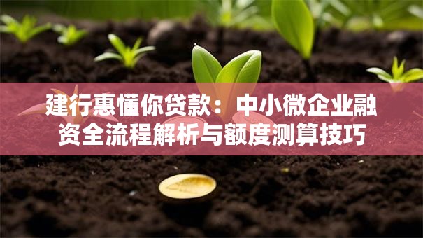 建行惠懂你贷款：中小微企业融资全流程解析与额度测算技巧