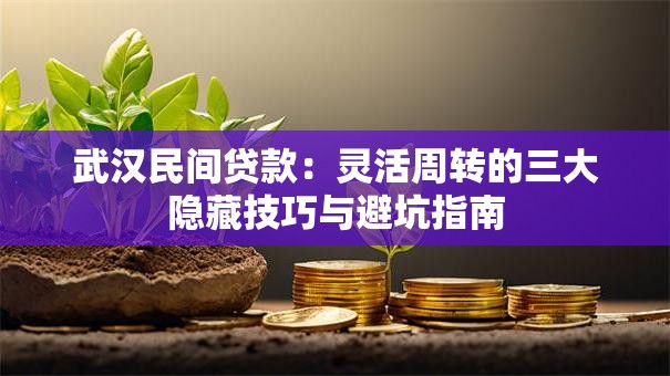 武汉民间贷款：灵活周转的三大隐藏技巧与避坑指南