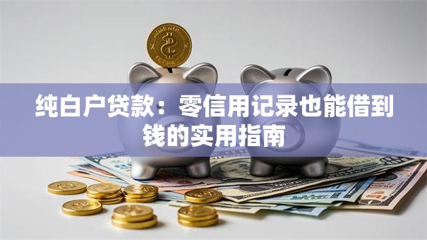 纯白户贷款：零信用记录也能借到钱的实用指南