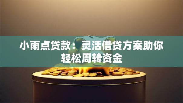 小雨点贷款:灵活借贷方案助你轻松周转资金 小雨点贷款:灵活借贷方案助你轻松周转资金