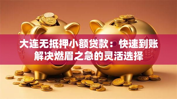 大连无抵押小额贷款:快速到账解决燃眉之急的灵活选择 大连无抵押小额贷款:快速到账解决燃眉之急的灵活选择