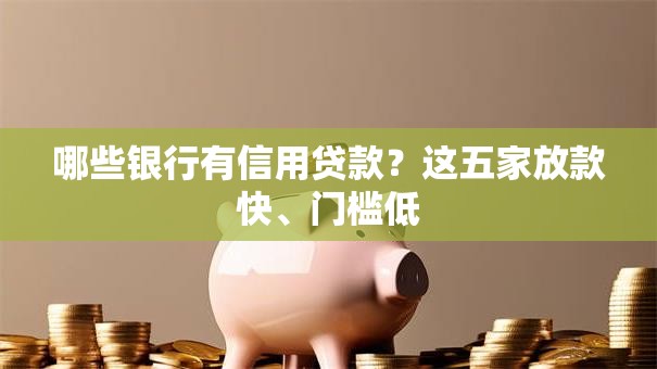 哪些银行有信用贷款？这五家放款快、门槛低