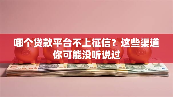 哪个贷款平台不上征信？这些渠道你可能没听说过