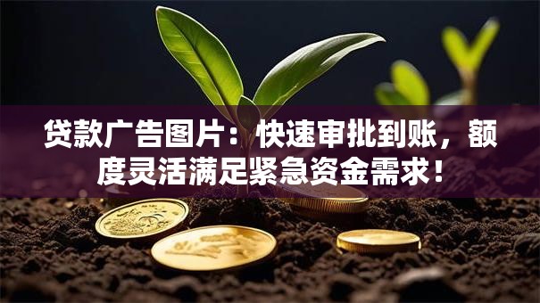 贷款广告图片：快速审批到账，额度灵活满足紧急资金需求！